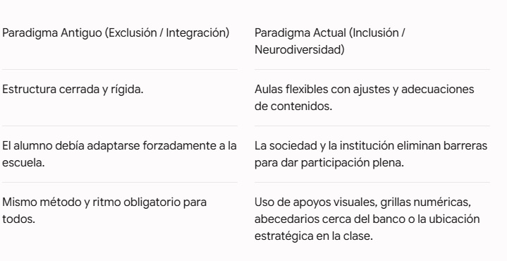 Neurodiversidad y aprendizaje: "El cerebro en edades tempranas tiene la plasticidad necesaria para cambiar un pronóstico" 7 Neurodiversidad y aprendizaje: "El cerebro en edades tempranas tiene la plasticidad necesaria para cambiar un pronóstico" imagen-6