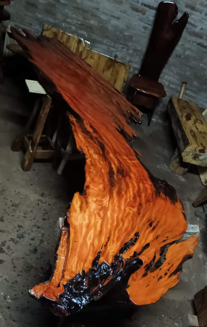 Marcelo Ferreira inaugura su 20ª Muestra de Piezas Exóticas en Madera Nativa en Posadas imagen-10
