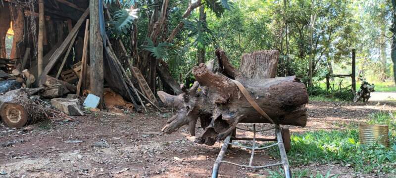 Marcelo Ferreira inaugura su 20ª Muestra de Piezas Exóticas en Madera Nativa en Posadas imagen-6
