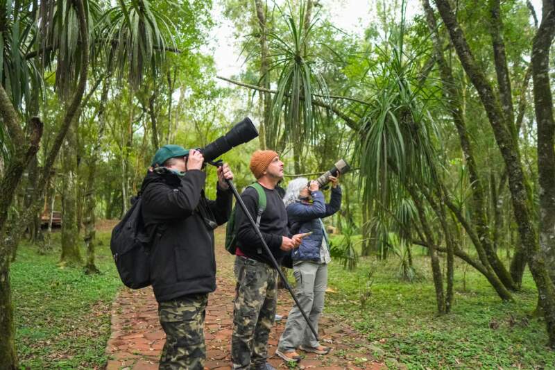Con más de 550 especies registradas, Misiones se consolida como un destino líder en observación de aves 7 Con más de 550 especies registradas, Misiones se consolida como un destino líder en observación de aves imagen-6