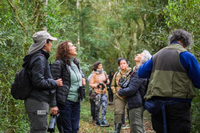 Con más de 550 especies registradas, Misiones se consolida como un destino líder en observación de aves 9 Con más de 550 especies registradas, Misiones se consolida como un destino líder en observación de aves imagen-8