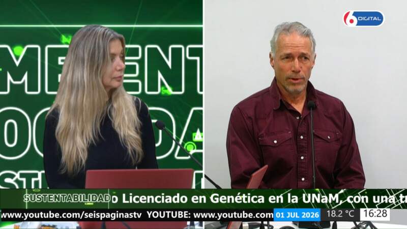 Impacto ambiental y transición energética: cómo se planifican los grandes proyectos en la actualidad 5 Impacto ambiental y transición energética: cómo se planifican los grandes proyectos en la actualidad imagen-4