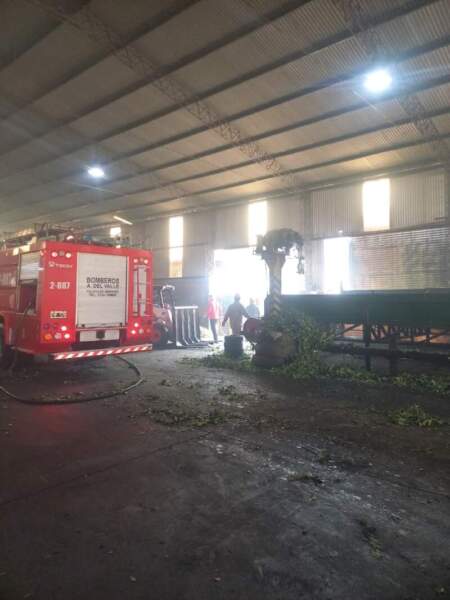 Un incendio en un secadero de yerba mate provocó importantes daños materiales en Aristóbulo del Valle imagen-11