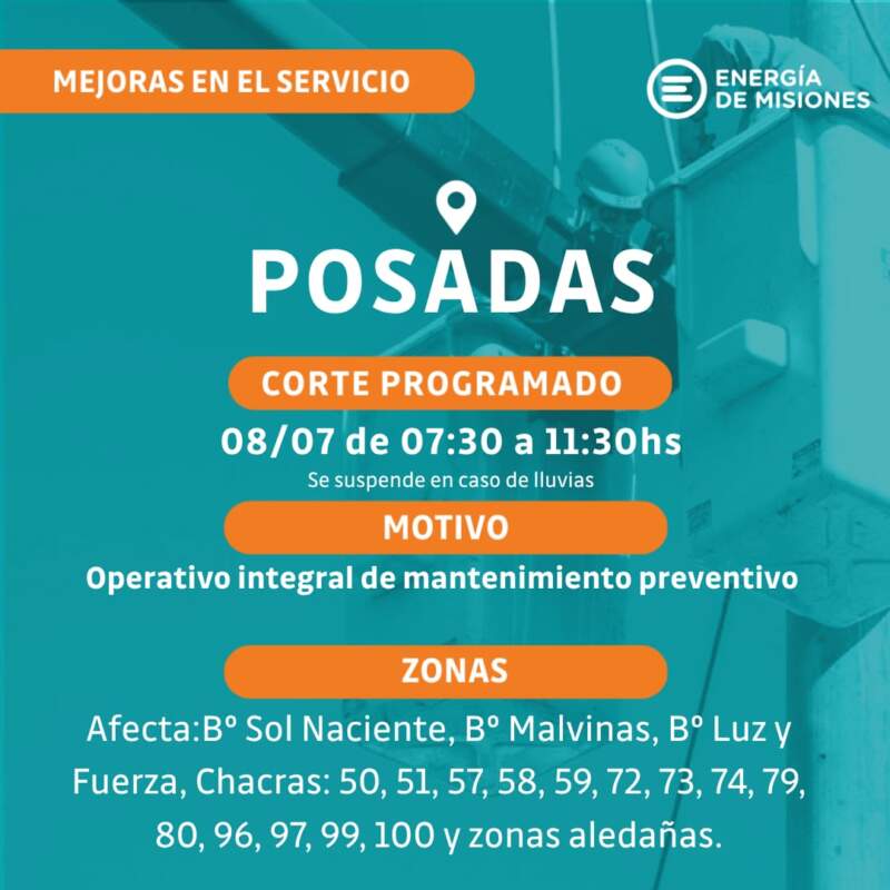 Energía de Misiones despejó más de cien kilómetros de líneas troncales en Posadas imagen-4