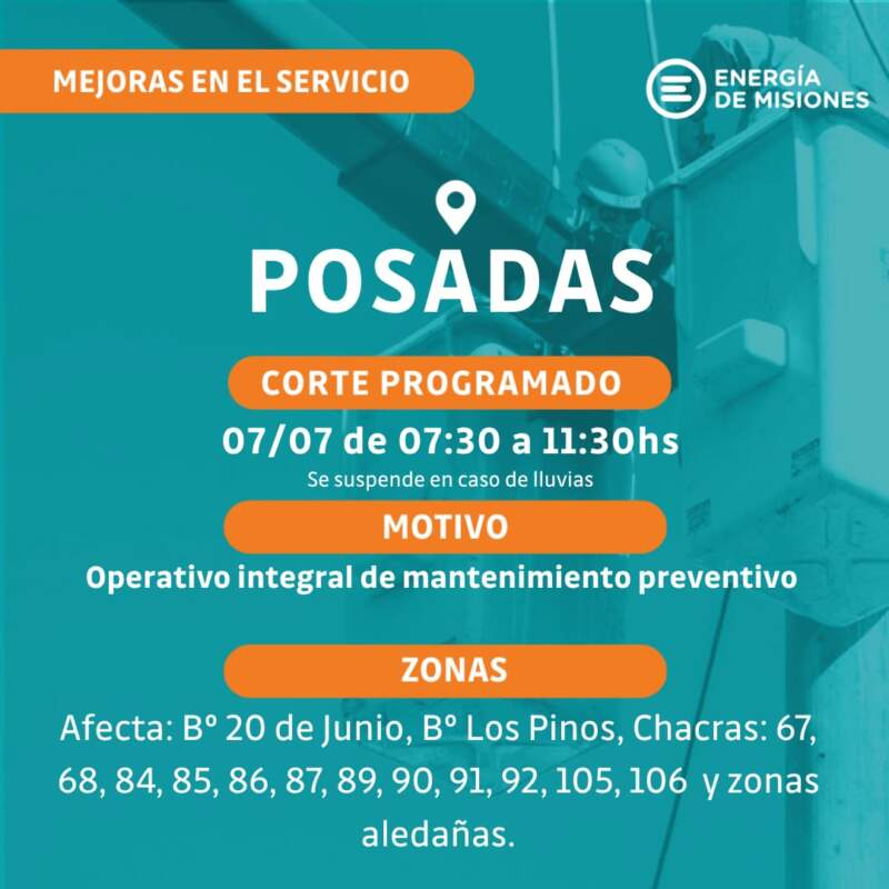 Energía de Misiones despejó más de cien kilómetros de líneas troncales en Posadas imagen-2