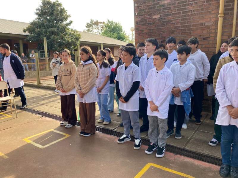 Pruebas Aprender: tras una rotunda mejoría en Lengua, Misiones logra un avance histórico en educación imagen-12