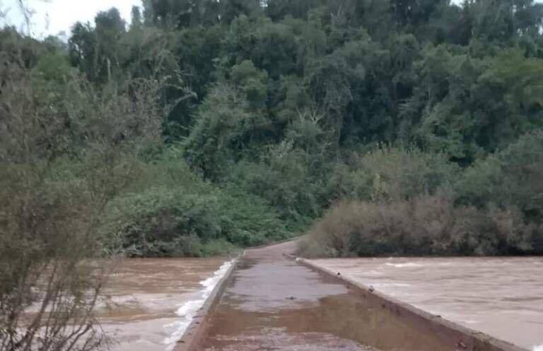 Habilitaron el acceso al Parque Provincial Moconá y los paseos náuticos imagen-18