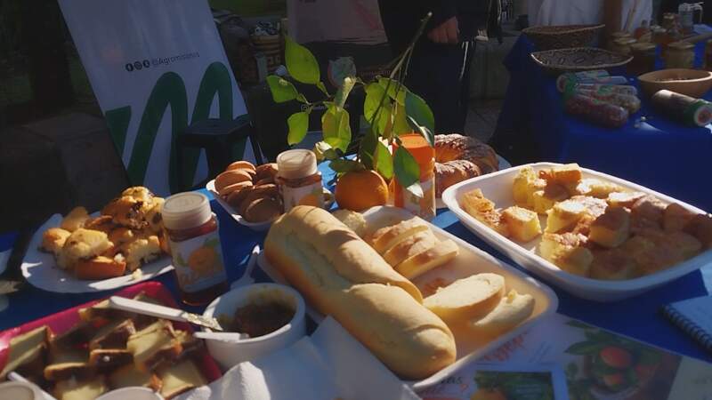 Del árbol de la vereda a la mesa: Estudiantes del Montoya transforman el apepú en budines, mermeladas y hasta vino 5 Del árbol de la vereda a la mesa: Estudiantes del Montoya transforman el apepú en budines, mermeladas y hasta vino imagen-4