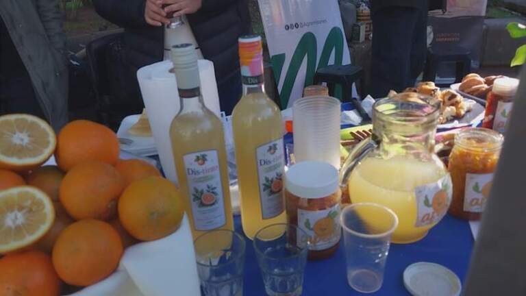 Del árbol de la vereda a la mesa: Estudiantes del Montoya transforman el apepú en budines, mermeladas y hasta vino imagen-2
