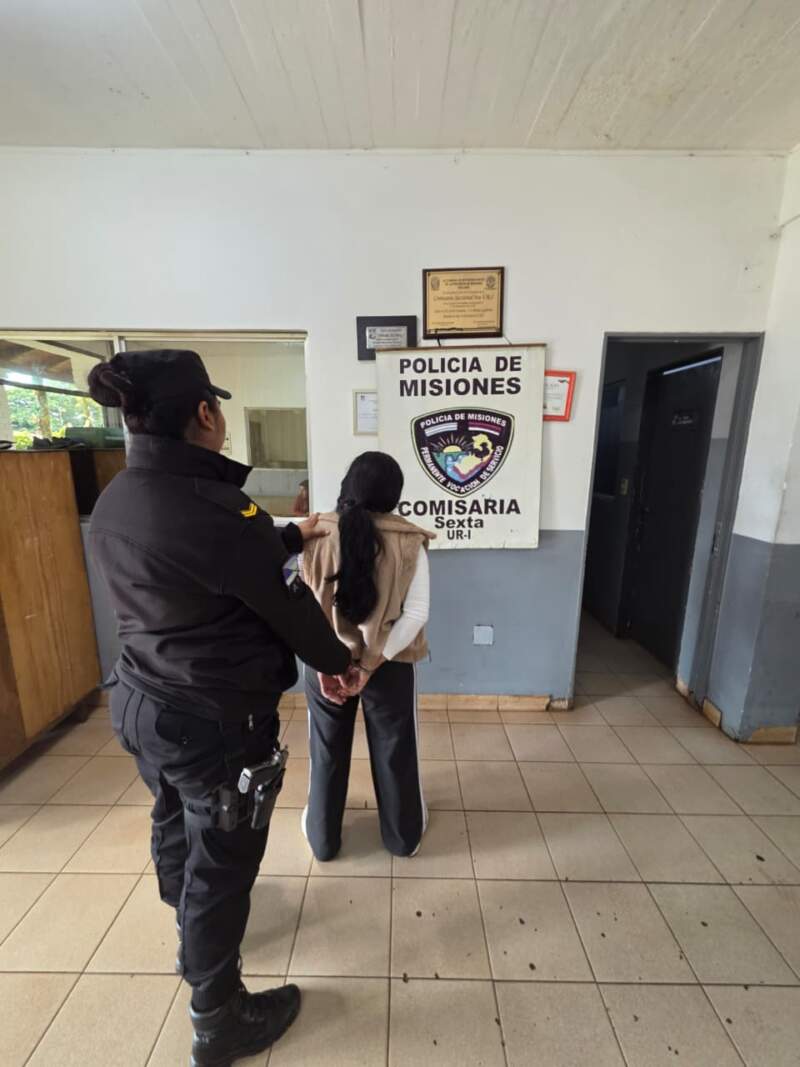 Detuvieron a una mujer e incautaron celulares y un vehículo en la investigación por presuntas estafas con falsas promesas laborales imagen-10