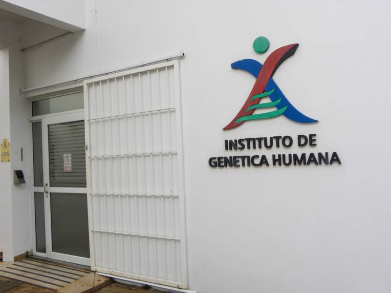 De un laboratorio y 500 consultas a un centro de referencia: el Instituto de Genética Humana cumple 14 años en Misiones 3 De un laboratorio y 500 consultas a un centro de referencia: el Instituto de Genética Humana cumple 14 años en Misiones imagen-2