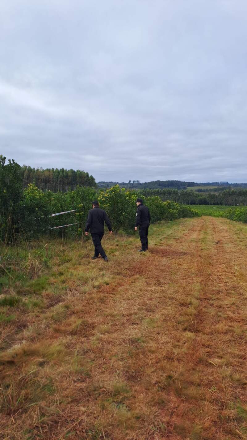 Hallaron sin vida a una adolescente de 16 años en una chacra de Campo Ramón: investigan las circunstancias de su muerte imagen-2