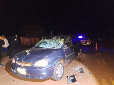 Un automovilista chocó contra un caballo sobre la Ruta 204 imagen-5