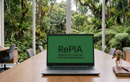 Ecología y el sector maderero acordaron una mesa técnica-jurídica para analizar los alcances del RePIA imagen-11