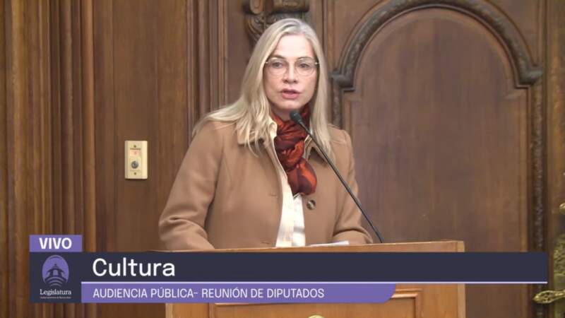 Ministra del STJ Misiones destacó el trabajo de Misiones en políticas de género imagen-12