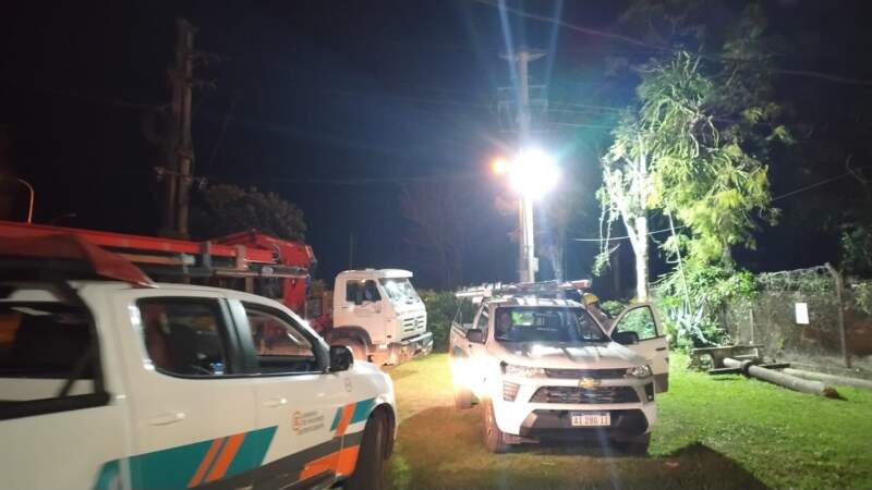 Alerta por fuertes vientos: Energía de Misiones desplegó cuadrillas en puntos afectados imagen-4