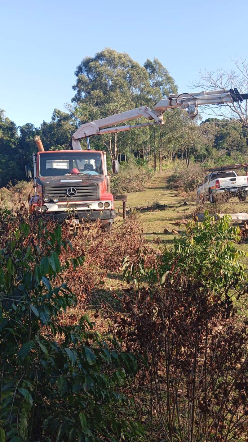Alerta por fuertes vientos: Energía de Misiones desplegó cuadrillas en puntos afectados imagen-2