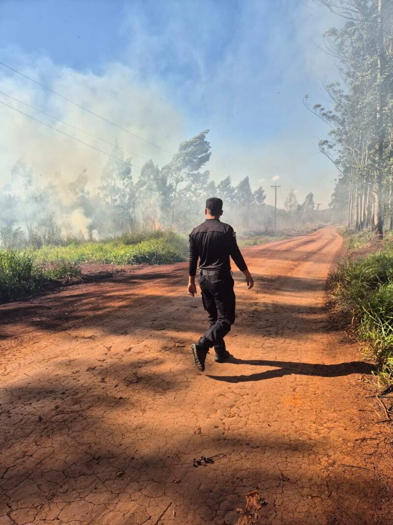 El "veranillo de San Juan" encendió las alarmas: reportaron más de 25 incendios en Misiones y rige una alerta por ráfagas de hasta 70 km/h 5 El "veranillo de San Juan" encendió las alarmas: reportaron más de 25 incendios en Misiones y rige una alerta por ráfagas de hasta 70 km/h imagen-4