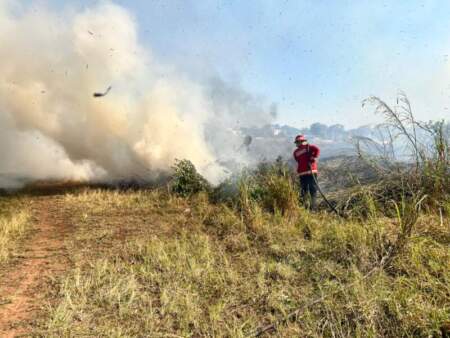 El "veranillo de San Juan" encendió las alarmas: reportaron más de 25 incendios en Misiones y rige una alerta por ráfagas de hasta 70 km/h imagen-11
