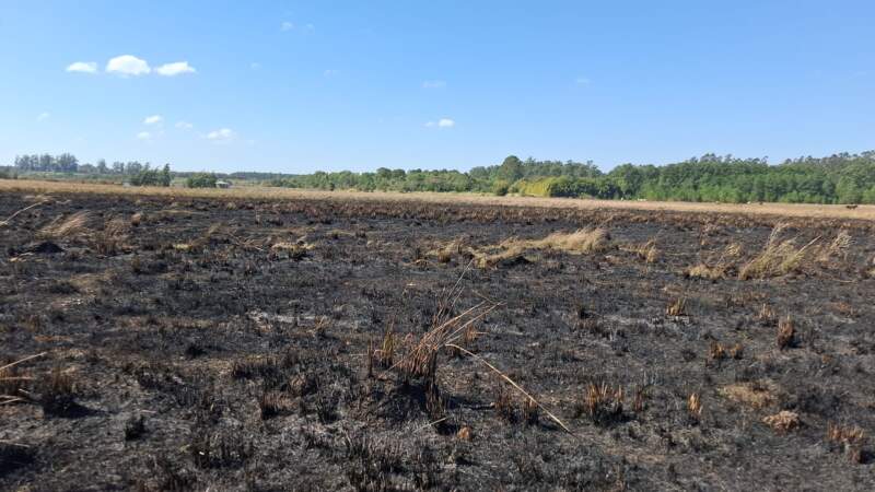 El "veranillo de San Juan" encendió las alarmas: reportaron más de 25 incendios en Misiones y rige una alerta por ráfagas de hasta 70 km/h 7 El "veranillo de San Juan" encendió las alarmas: reportaron más de 25 incendios en Misiones y rige una alerta por ráfagas de hasta 70 km/h imagen-6