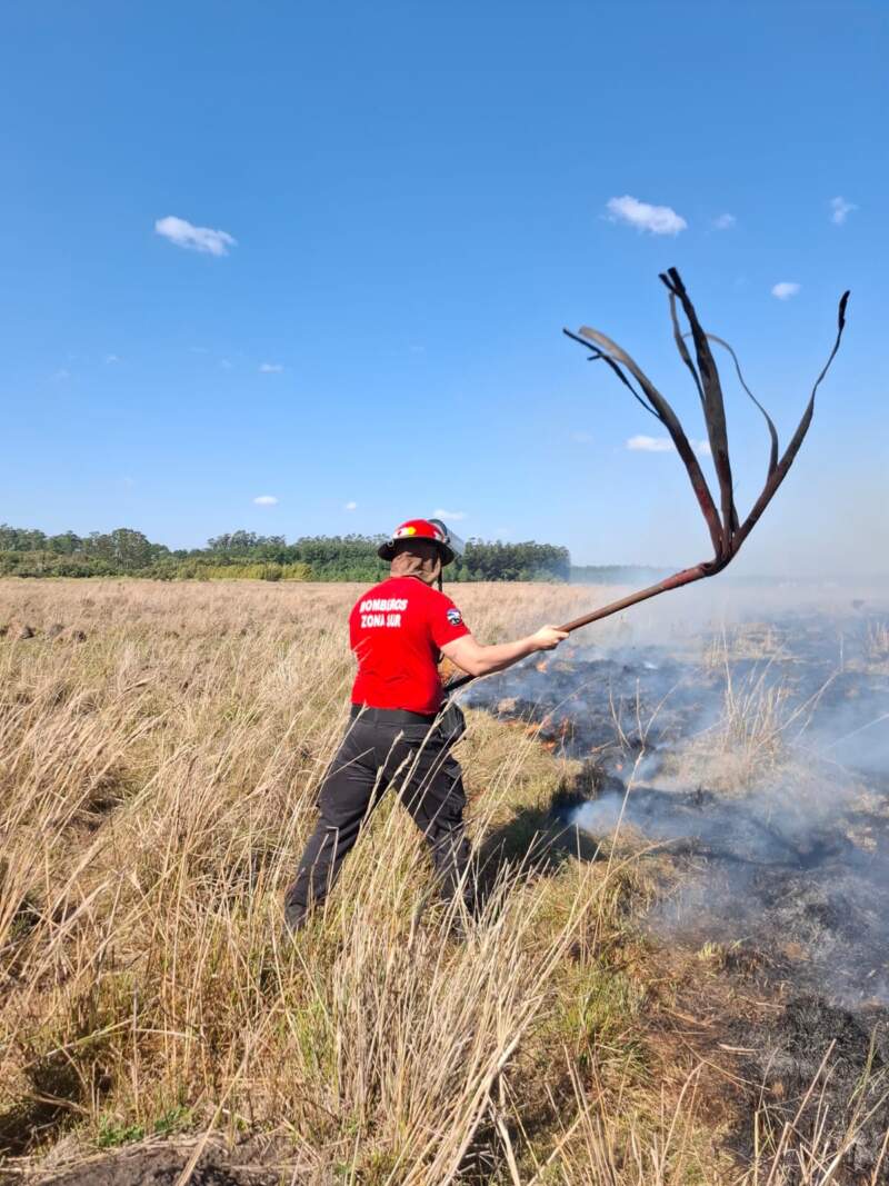 El "veranillo de San Juan" encendió las alarmas: reportaron más de 25 incendios en Misiones y rige una alerta por ráfagas de hasta 70 km/h 9 El "veranillo de San Juan" encendió las alarmas: reportaron más de 25 incendios en Misiones y rige una alerta por ráfagas de hasta 70 km/h imagen-8