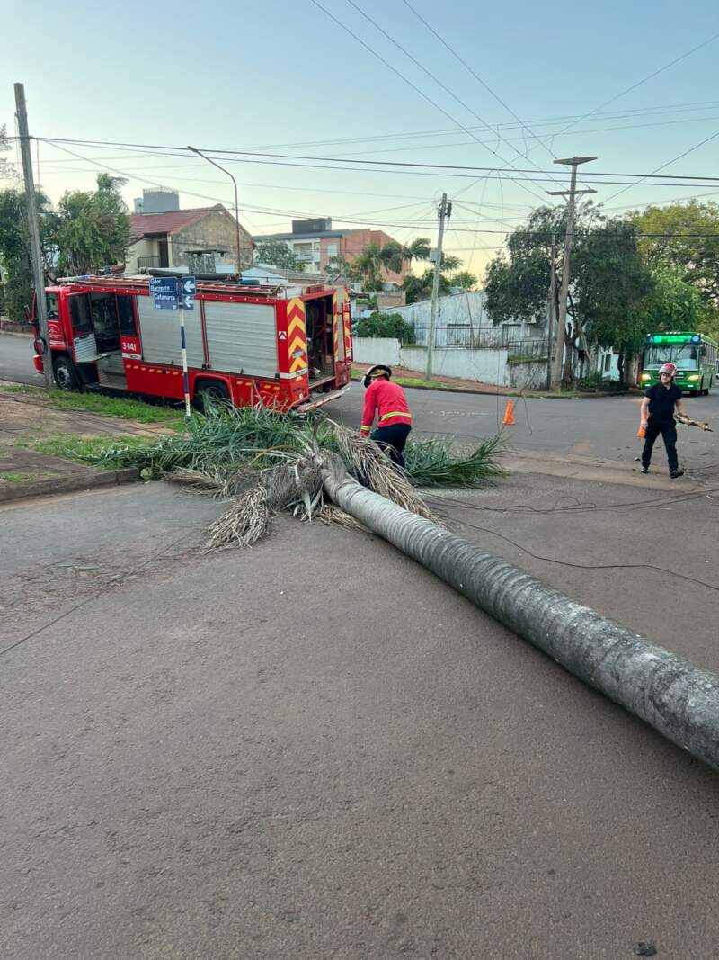 Operario de Energía de Misiones resultó herido al reparar daños provocados por incendios: Bomberos de la Policía ya superan las 60 intervenciones 3 Operario de Energía de Misiones resultó herido al reparar daños provocados por incendios: Bomberos de la Policía ya superan las 60 intervenciones imagen-2