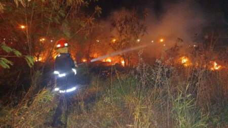 Operario de Energía de Misiones resultó herido al reparar daños provocados por incendios: Bomberos de la Policía ya superan las 60 intervenciones imagen-5