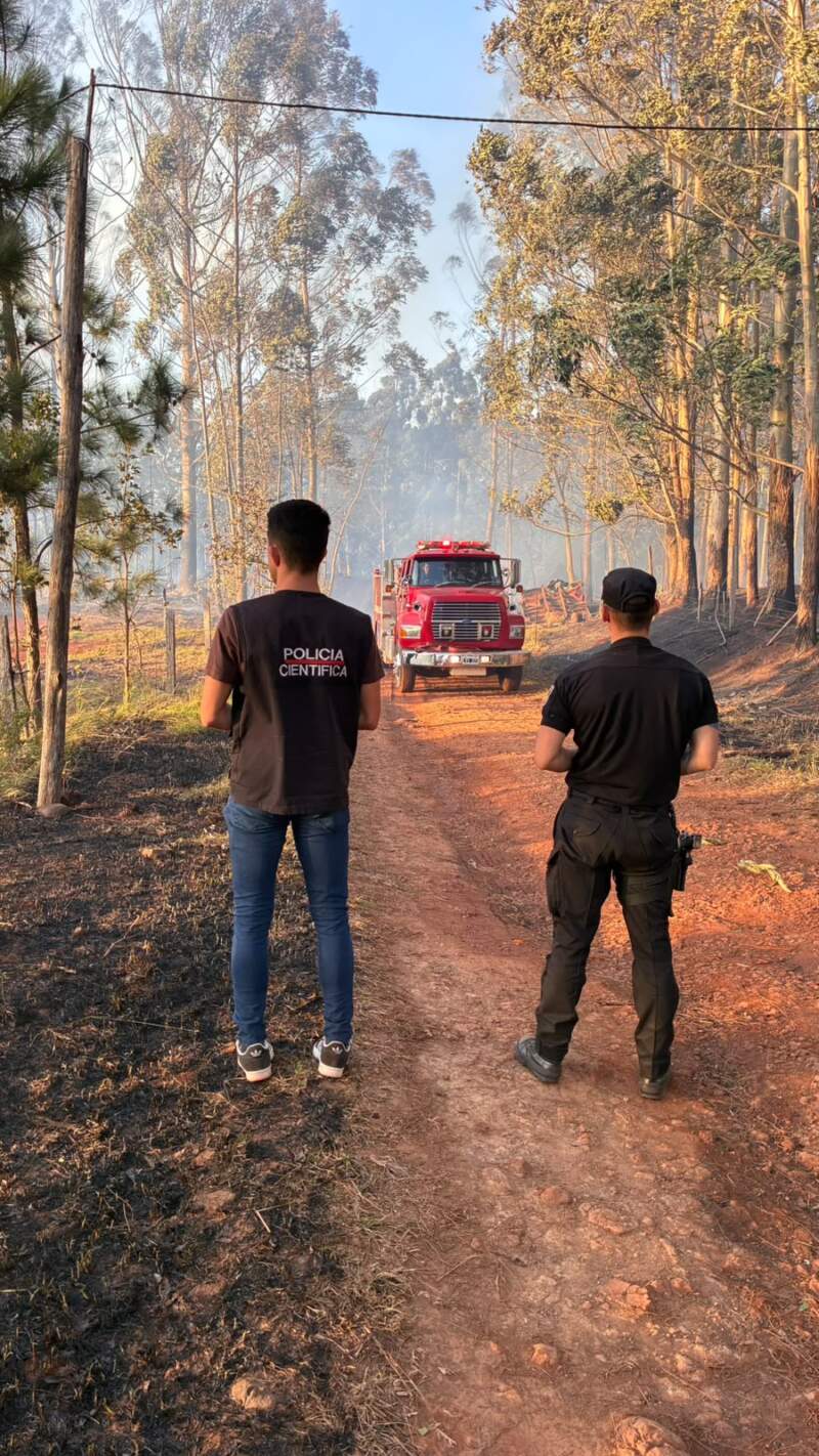 Fuertes vientos provocaron un incendio que afectó a tres aserraderos en San Vicente Fuertes vientos provocaron un incendio que afectó a tres aserraderos en San Vicente imagen-13