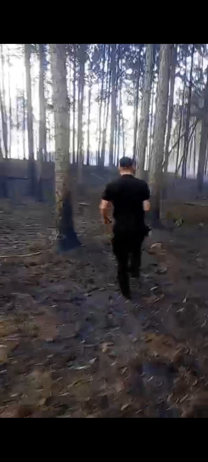 Fuertes vientos provocaron un incendio que afectó a tres aserraderos en San Vicente 3 Fuertes vientos provocaron un incendio que afectó a tres aserraderos en San Vicente imagen-2