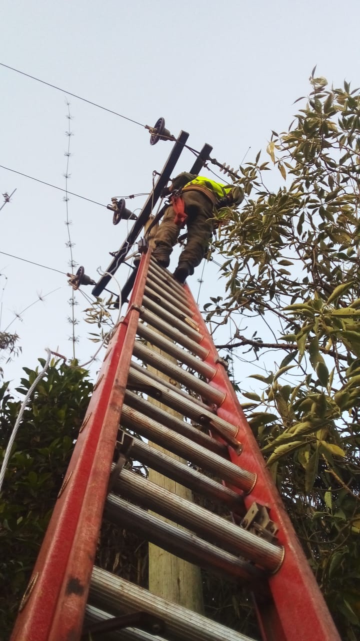 Temporal de vientos: cuadrillas reforzadas continúan trabajando en las zonas más afectadas para recuperar el suministro eléctrico 2 Temporal de vientos: cuadrillas reforzadas continúan trabajando en las zonas más afectadas para recuperar el suministro eléctrico imagen-1