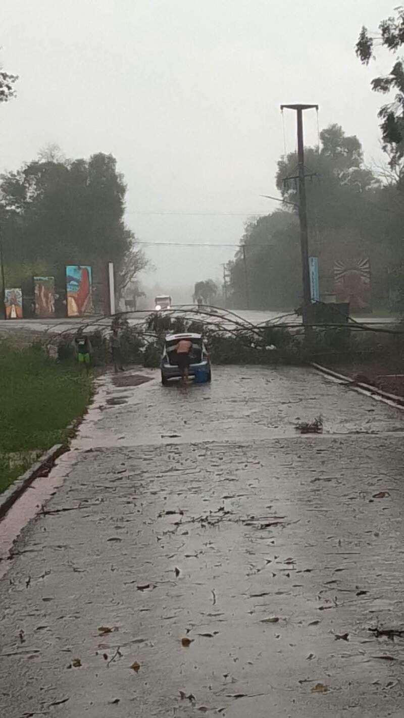 Un fuerte temporal provocó destrozos y cortes de servicios en la zona de El Alcázar y Colonia Luján 3 Un fuerte temporal provocó destrozos y cortes de servicios en la zona de El Alcázar y Colonia Luján imagen-2