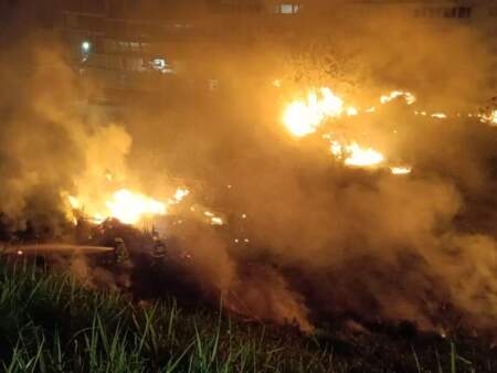 Controlaron un principio de incendio en la Costanera de Puerto Iguazú Controlaron un principio de incendio en la Costanera de Puerto Iguazú imagen-16