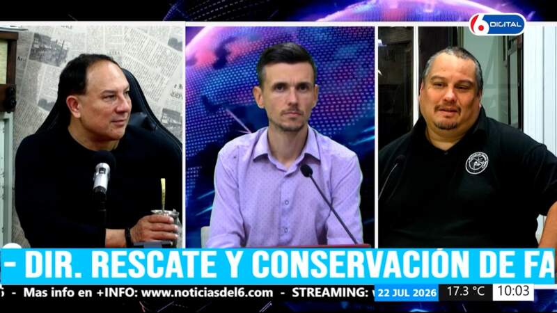 Piesco advirtió sobre la venta de tierras a extranjeros: "Si seguimos así, van a vaciar la selva" imagen-6