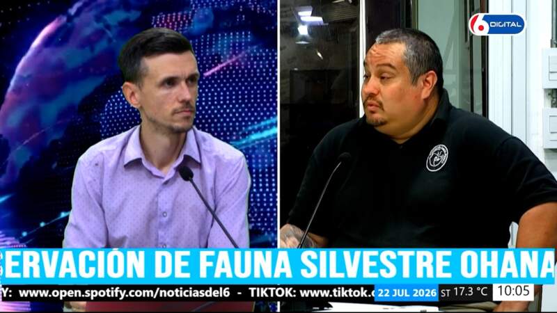 Piesco advirtió sobre la venta de tierras a extranjeros: "Si seguimos así, van a vaciar la selva" imagen-8