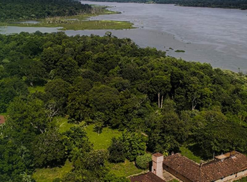 Misiones contra la derogación de la Ley de Tierras: El Gobierno instó a "defender la soberanía de nuestro territorio" antes del debate en el Senado" imagen-12