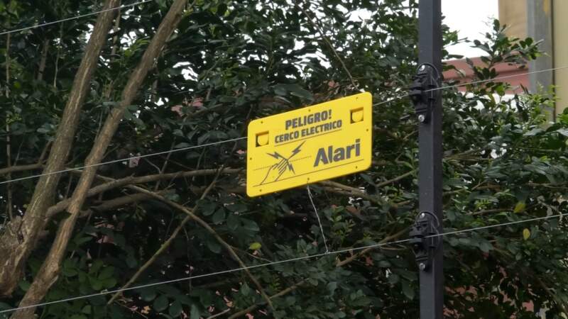 "Vivimos encerrados y con miedo": la desesperada denuncia de los vecinos de la Chacra 245 por la inseguridad y un terreno que sirve de refugio a delincuentes imagen-4