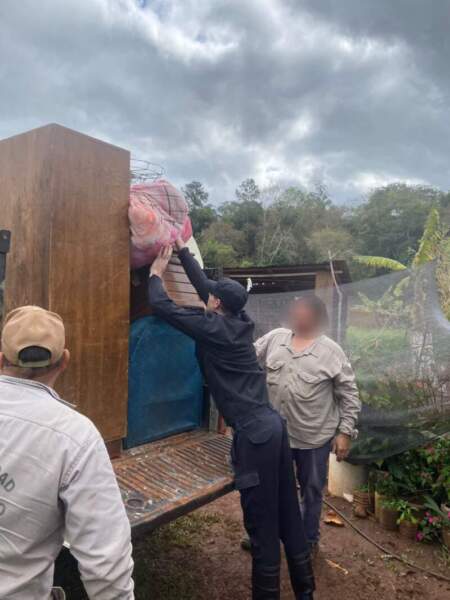 El río Uruguay sigue bajando y habilitaron el paso fronterizo en El Soberbio: la Policía evalúa el regreso de las familias evacuadas imagen-11