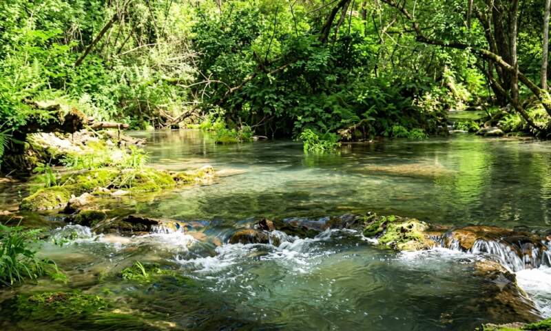 Viviana Rovira advirtió sobre los riesgos de derogar la Ley de Tierras: "Misiones guarda el 52% de la biodiversidad del país y no puede entregar su soberanía" imagen-15