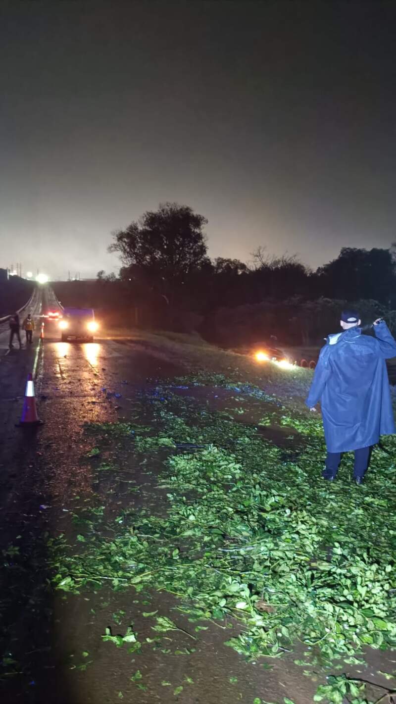 Una familia sufrió un despiste al impactar contra un raído de yerba sobre la Ruta Provincial 13 en San Vicente imagen-4