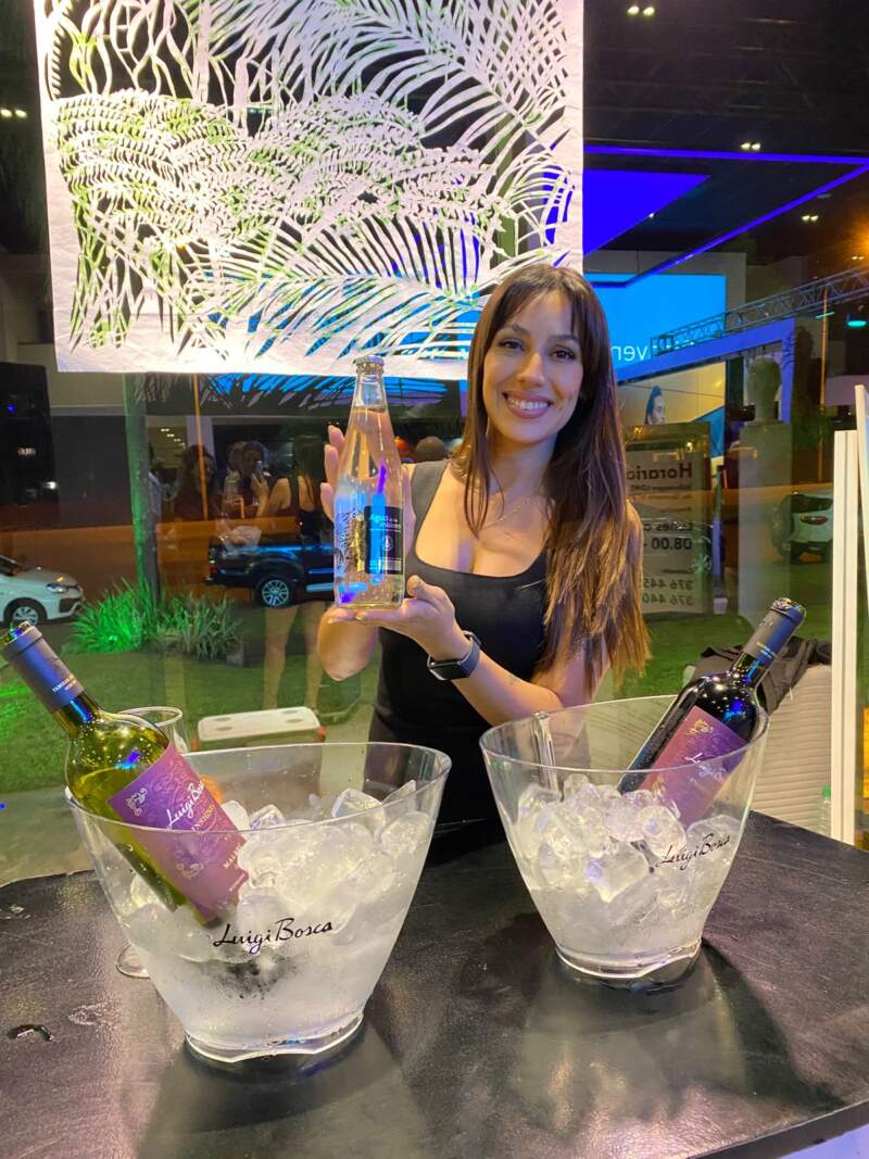 Posadas se prepara para una nueva edición de Negocios, Arte y Vinos imagen-2