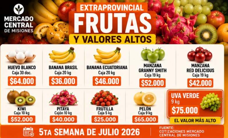 Comprar en el Mercado Central de Misiones: una alternativa conveniente para cuidar el bolsillo frente a la inflación imagen-8