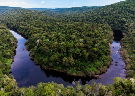 Misiones iniciará en agosto jornadas informativas sobre el Programa Jurisdiccional de Créditos de Carbono imagen-11