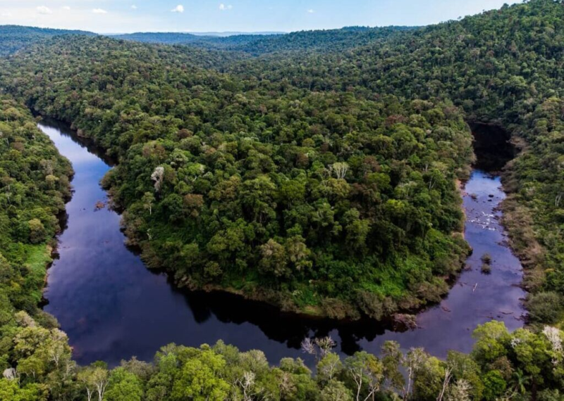 Misiones iniciará en agosto jornadas informativas sobre el Programa Jurisdiccional de Créditos de Carbono imagen-12