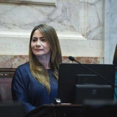 Rojas Decut anticipa que acompañará la postura del Gobierno provincial sobre la ley de tierras y evalúa conformar un bloque propio imagen-11