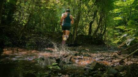 Piesco advirtió sobre la venta de tierras a extranjeros: "Si seguimos así, van a vaciar la selva" imagen-11