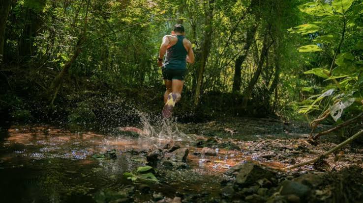 Piesco advirtió sobre la venta de tierras a extranjeros: "Si seguimos así, van a vaciar la selva" imagen-12
