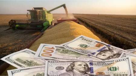 El campo aportó más de US$3.000 millones en junio, pero el ingreso de dólares sigue por debajo del año pasado imagen-11