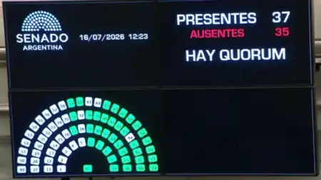 Los senadores del espacio de Carlos Rovira (Encuentro Misionero) y del PRO dieron quorum para tratar la ley de extranjerización de tierras imagen-11