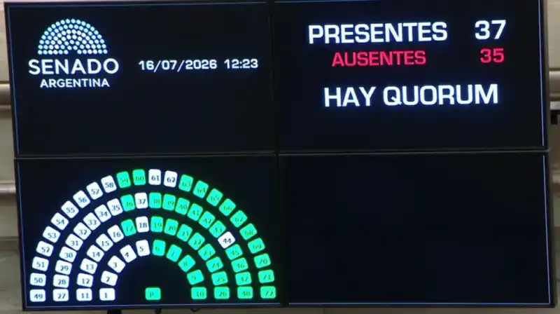Los senadores del espacio de Carlos Rovira (Encuentro Misionero) y del PRO dieron quorum para tratar la ley de extranjerización de tierras imagen-12