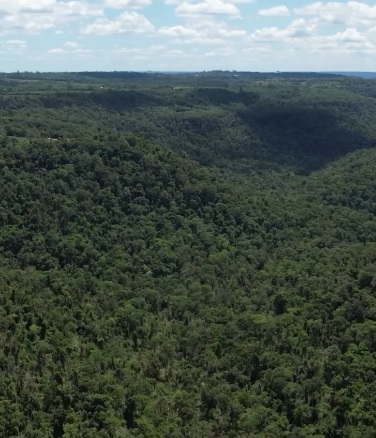Ecología profundiza el monitoreo ambiental y fortalece el trabajo conjunto con el sector productivo imagen-13